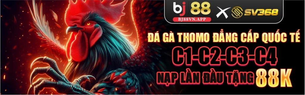 Bj88 x Sv368 Đá Gà Thomo Đẳng Cấp Quốc Tế C1-C2-C3-C4 Nạp lần đầu tặng 88K